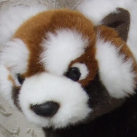 Dynamis Development Github - Professional Vintage Texture - Ultra HD