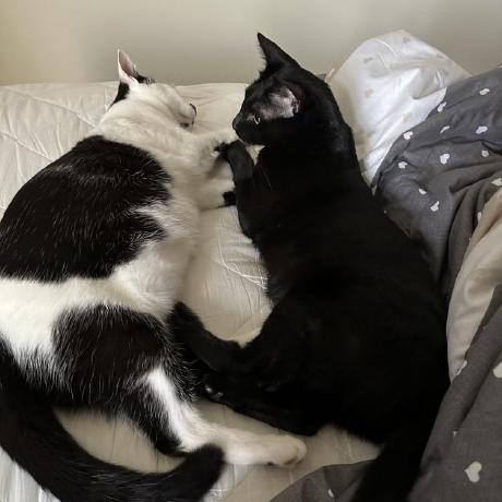 Github Justin Eup Special Setting - Desktop Vintage Textures for Desktop