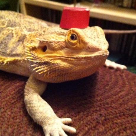 Github Danio Code Danio Code Data Analysis - Download Stunning Abstract Photo | Full HD