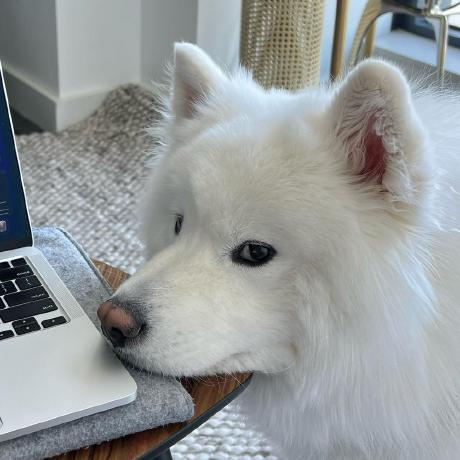 Dscarlett Chwy Github - Download Creative Abstract Pattern | Full HD