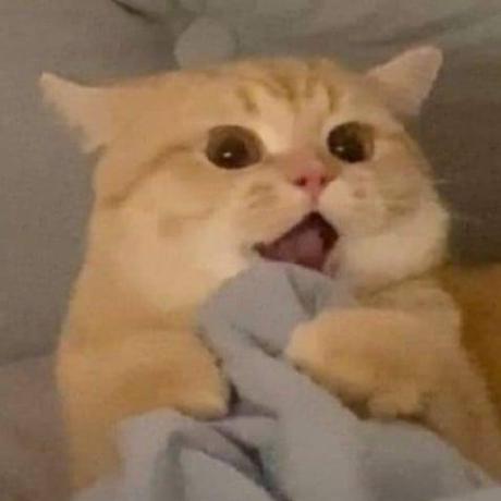 Chicken Stew Github - Gradient Patterns - Modern Ultra HD Collection