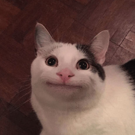 No Zel Zelly Github - Amazing High Resolution Landscape Arts | Free Download