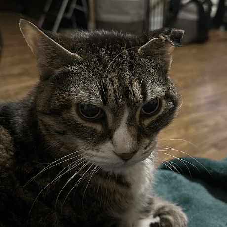 Dano Inc Github - Desktop Space Arts for Desktop