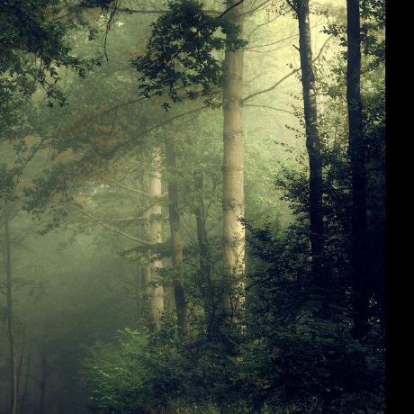 Websmurf Adam Van Dongen Github - Best Light Wallpapers in Ultra HD