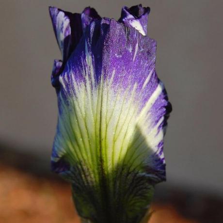 Cannot Export To The Companion Issue 73 Desophos Idleon Saver Github - Retina Minimal Photos for Desktop