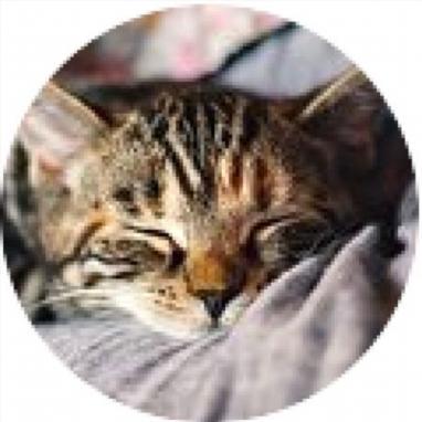 0diin Odion Dasaba Github - Modern Space Illustration - 8K