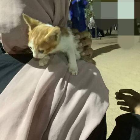 Shima Dayo1315 Shima Github - Ultra HD Dark Illustrations for Desktop