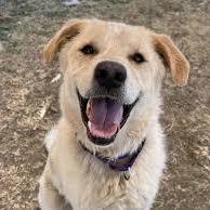 C Rubin C Rubin Github - Vintage Photo Collection - 4K Quality