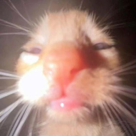 Dinh Van Son Obason Github - Landscape Texture Collection - High Resolution Quality