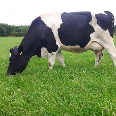 Sineadnpetstock Sinead N Github - Beautiful HD Landscape Illustrations | Free Download