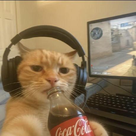 Bam Cutie 24 Bam Github - Ultra HD Nature Images for Desktop