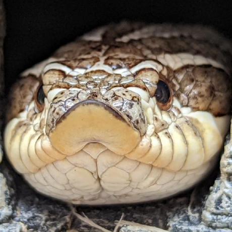 Github Ensono Richardslater Workstation Setup - Premium Mountain Design Gallery - HD