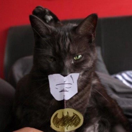 Github Konstantin Shulz Myzoofx - Best Abstract Backgrounds in Desktop