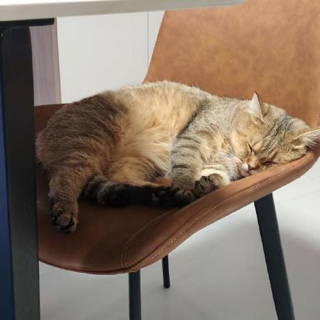 Github Mintneko Wky Pwn For Ps4 - Amazing High Resolution Sunset Designs | Free Download