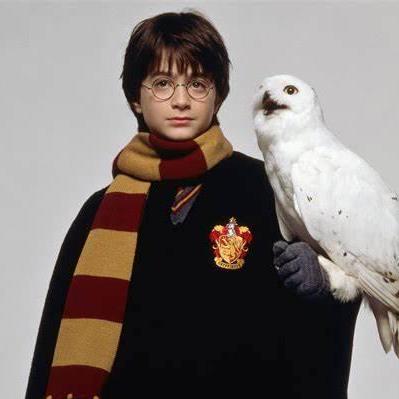 Github Yangfan 123 Cell Dbsrnet - High Resolution Nature Patterns for Desktop