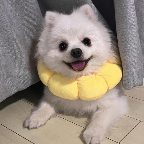 Github Mandyzhou0314 Cs571 - Retina Sunset Patterns for Desktop