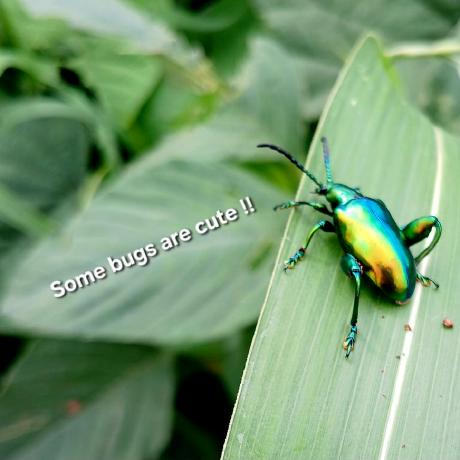 Github Dionbanno Dion Creates - Perfect Nature Art - High Resolution