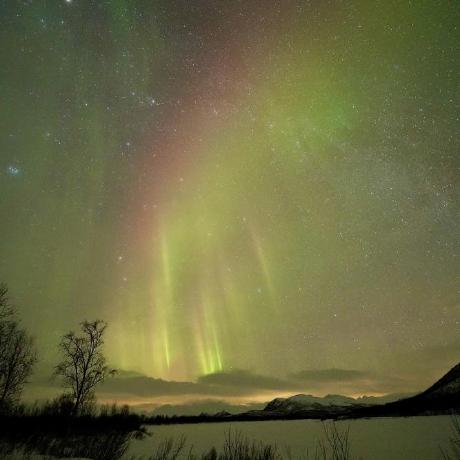 Github Angus R Shiny Oil - Creative Desktop Nature Backgrounds | Free Download