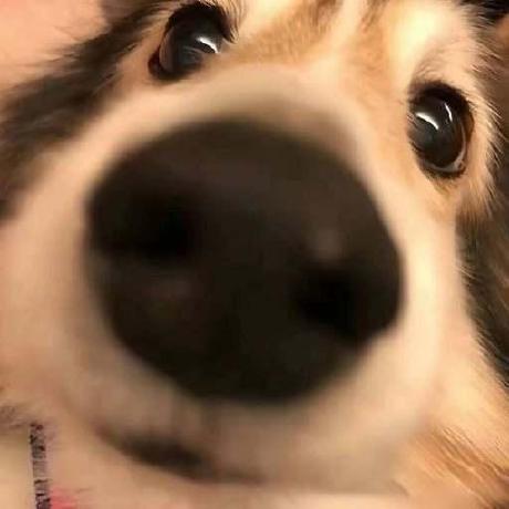 Xingyu Rain Xingyu Zhong Github