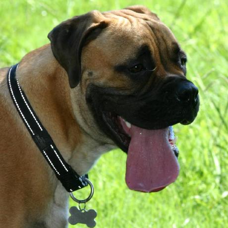 Kanine Labs Github - Perfect HD Gradient Wallpapers | Free Download