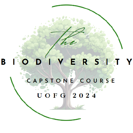 University Of Guelph Biodiversity Capstone 2024 Github