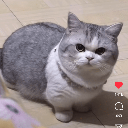 Tgravitas S Karun Vikhash Github - Download Gorgeous Vintage Texture | High Resolution