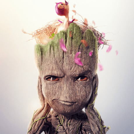 Tae Yoonkim Github - Sunset Designs - Elegant Ultra HD Collection