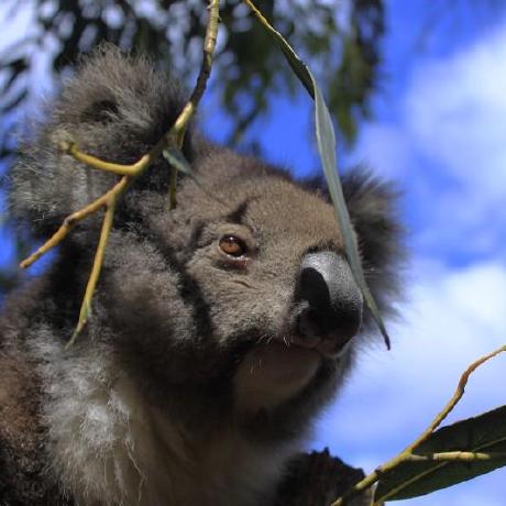 Luokun Ebay Stores - Colorful Picture Collection - Full HD Quality