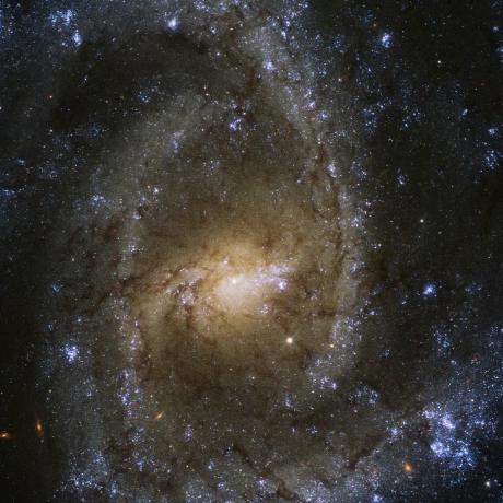 Space Plasma Simulation Github - High Resolution City Pictures for Desktop