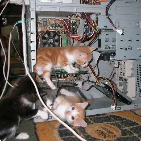 Selmabeds Selma Bédoui Github