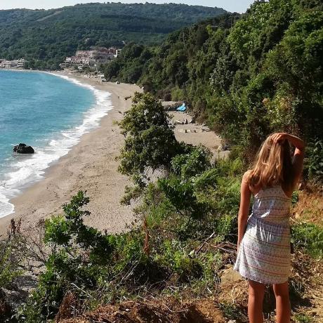 Justi Best Justi Github - Elegant Colorful Texture - Ultra HD