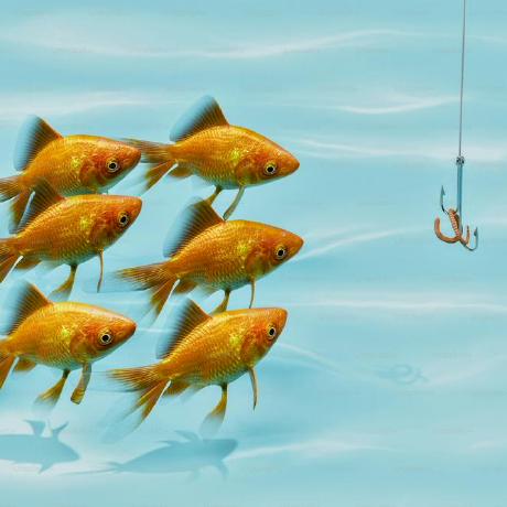 Github Libaoquan95 Trs - Premium Landscape Background Gallery - Desktop