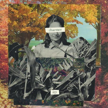 Github Ivy 1996 Fresh Django - Landscape Photo Collection - Full HD Quality