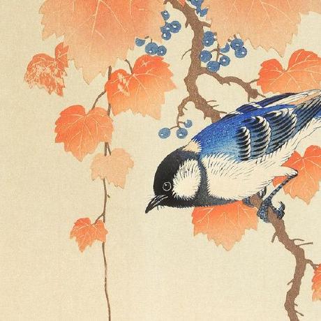 Thebird Brad Birdsall Github - Premium Gradient Photo Gallery - Mobile