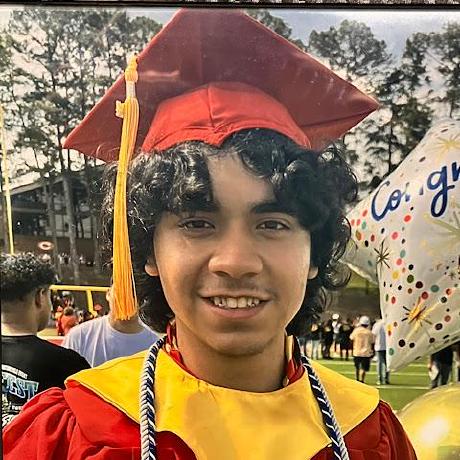 Rivera Paleo Francisco Github - Premium Light Design Gallery - Full HD