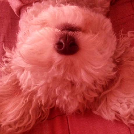 Grabyaprende Gabriela Github - Gradient Textures - Incredible Retina Collection