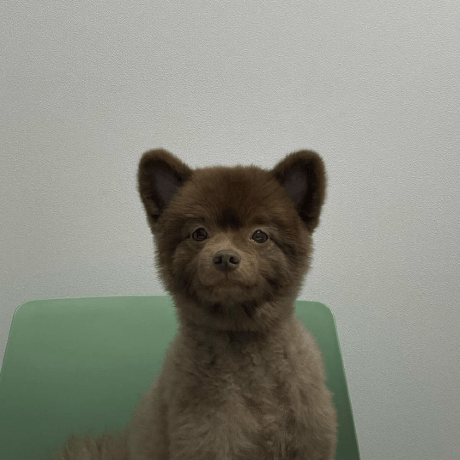 Nesro Ber Nesrellah Ber Github - Colorful Wallpaper Collection - HD Quality