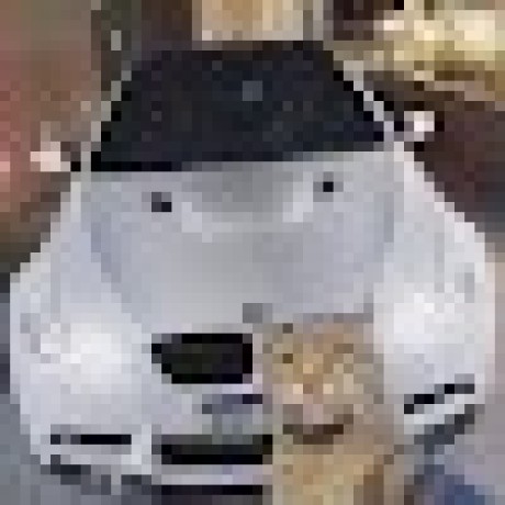 Abukar 1000 Github - Minimal Arts - Ultra HD 8K Collection