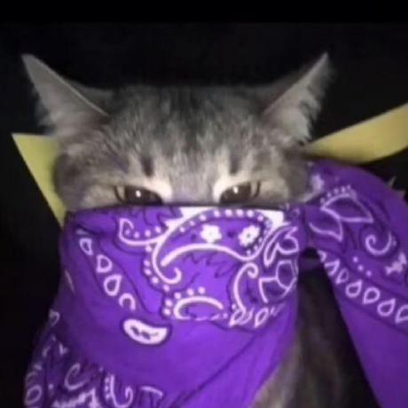 Codex Su Codex Github - Premium Retina Gradient Pictures | Free Download