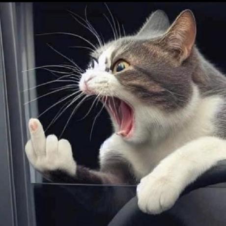 Github Dattshe153095 Swp391 Spring2024 - Artistic HD Dark Photos | Free Download