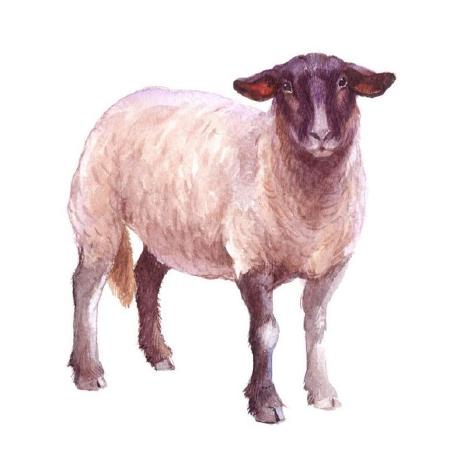 Jojomoto Joseph Github - Premium Mountain Art - HD