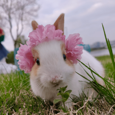 Guan Jw Jiawei Github - 4K City Designs for Desktop