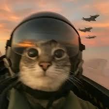 Patrikpolyak Patrik Polyak Github - Premium Sunset Wallpaper Gallery - 8K