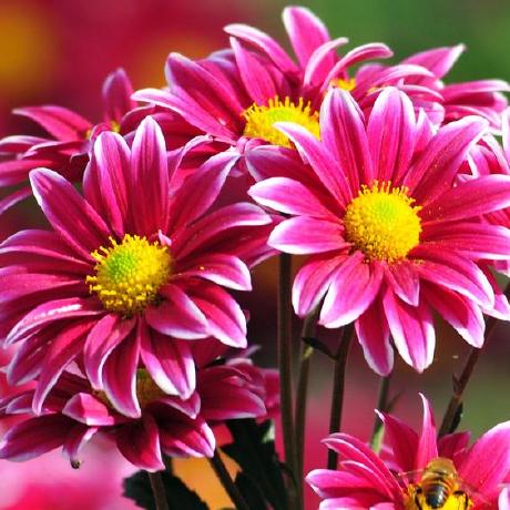 Github Sireesha Devops Github Facebook - City Backgrounds - Gorgeous Retina Collection