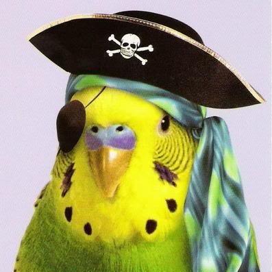 Larry955 Larry King Github - Best Ocean Photos in High Resolution