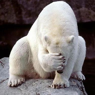 Github Hyperblast Beefweb Web Interface Plugin For Deadbeef And - Ocean Designs - Stunning HD Collection