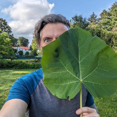 Dimens Github - 8K City Images for Desktop