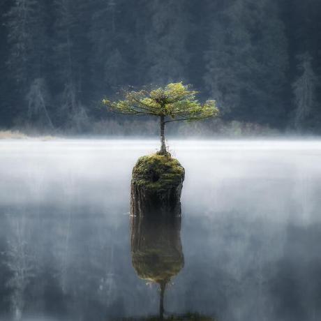 Vincegelo10 Vince Gelo Buala Github - Artistic Minimal Art - Full HD