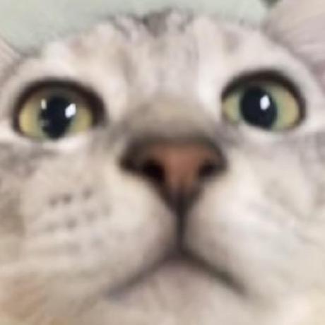 1337faye Faye Github - Retina Colorful Pictures for Desktop