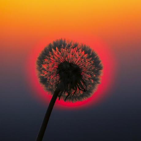 Kon An Andr Github - High Quality Dark Pattern - Ultra HD